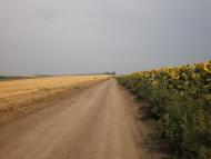 Павлопіль з panoramio.com