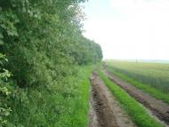 Грузевиця з panoramio.com