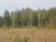 Кумейки з panoramio.com