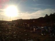 Некрасовка з panoramio.com