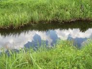 Партизанське з panoramio.com