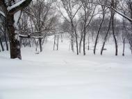 Шебутинці з panoramio.com