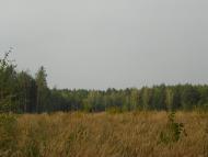 Кумейки з panoramio.com