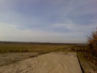 Піддубне з panoramio.com