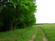 Пісочин з panoramio.com