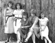 Шведчина з panoramio.com