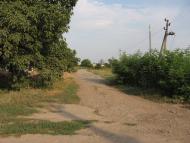 Кищенцы - Последние фото