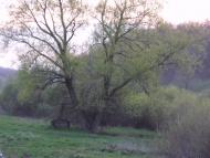 Малые Проходы - Последние фото