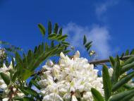 Совєтський - Останні фото