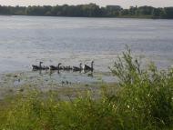 Червонозаводське з panoramio.com