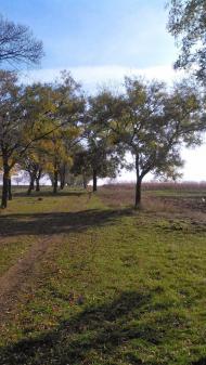 Новосілка з panoramio.com