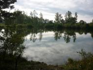 Шебедиха - Останні фото