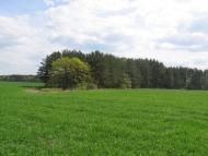 Петрушин з panoramio.com