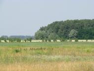 Марківці з panoramio.com