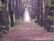 Біляївка з panoramio.com