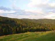 Погар з panoramio.com