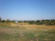 Куликівське з panoramio.com