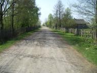 Партизанське з panoramio.com