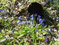 Наталине з panoramio.com