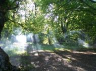 Ізобільне з panoramio.com