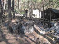 Пугач з panoramio.com