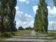 Баглаї з panoramio.com