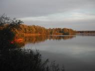 Черемушне з panoramio.com