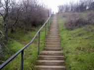 Запрудне з panoramio.com