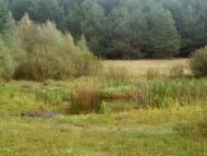 Дюксин з panoramio.com