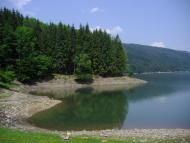 Вільшани з panoramio.com