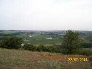Олександро-Калинове з panoramio.com