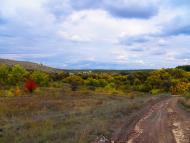 Михайлівка з panoramio.com