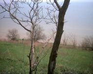 Покровське з panoramio.com