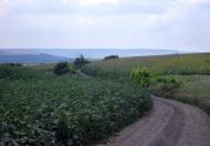 Велика Кісниця з panoramio.com