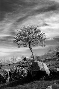 Богданівка з panoramio.com