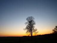 Стовп'яги з panoramio.com