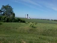 Самсонівка з panoramio.com