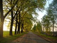 Переяслівка з panoramio.com