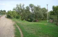 Бандурове з panoramio.com