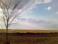 Врадіївка з panoramio.com