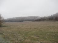 Великий Бурлук з panoramio.com