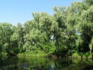 Марківці з panoramio.com