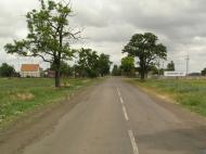 Красавич з panoramio.com