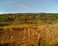 Березівка - Останні фото