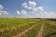 Приліпка з panoramio.com - Прилипка