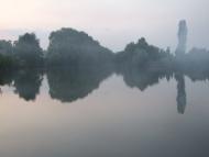 Дружное - Последние фото