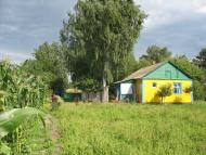 Kukshyn - Latest photos