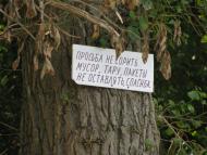 Вільноандріївка - Останні фото