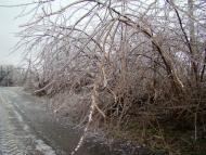 Янишівка з panoramio.com