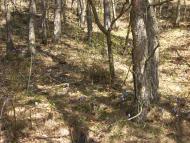 Страдч з panoramio.com